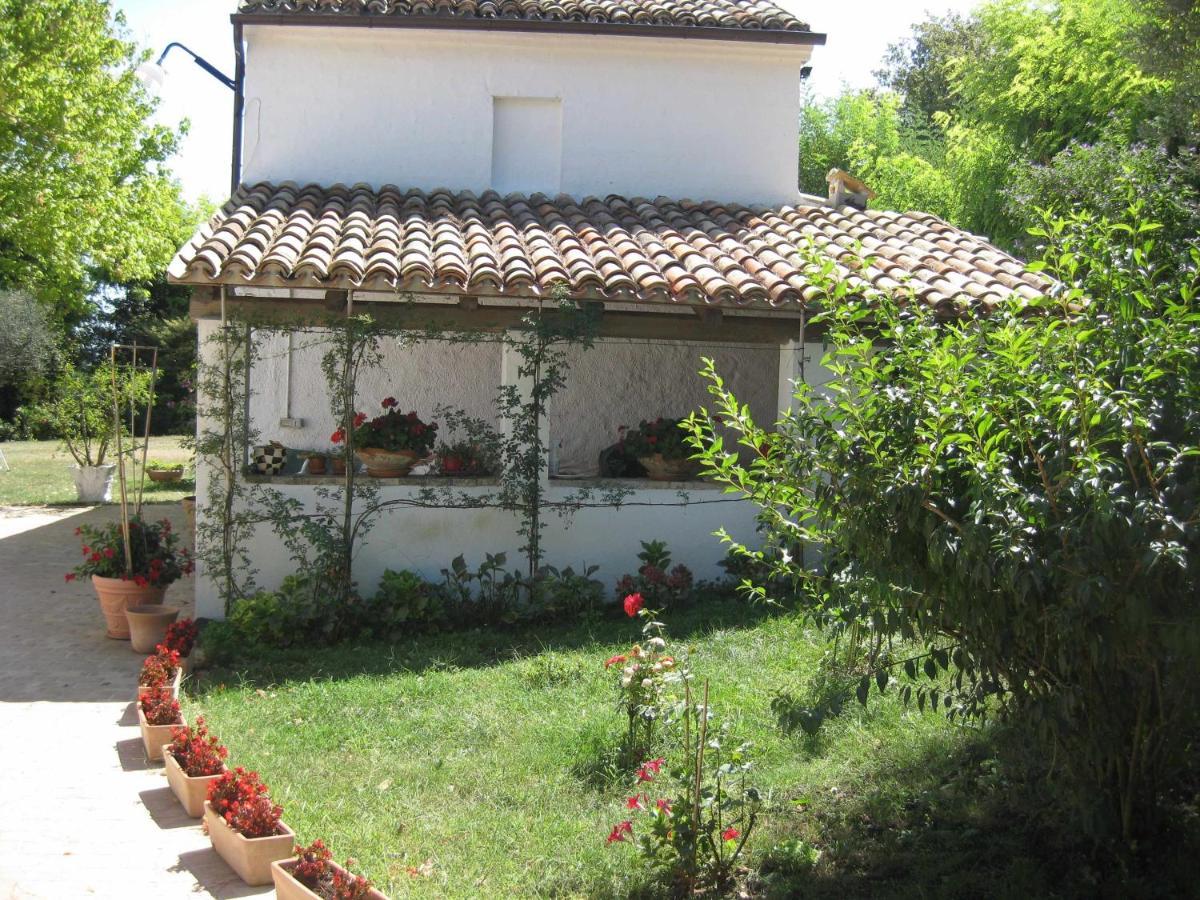 Casa Dei Pini Country House Bed & Breakfast Osimo Exterior photo