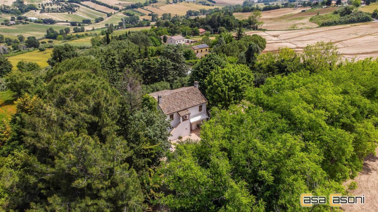 Casa Dei Pini Country House Bed & Breakfast Osimo Exterior photo