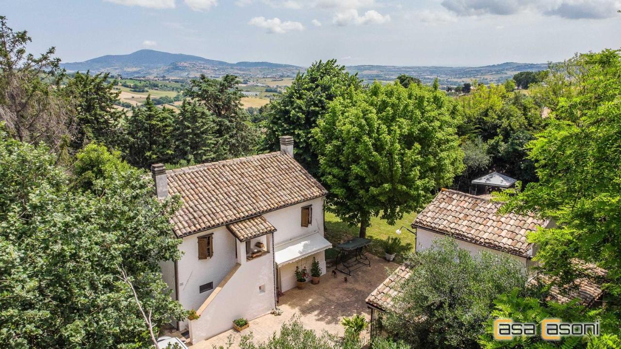 Casa Dei Pini Country House Bed & Breakfast Osimo Exterior photo